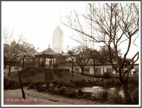 賞梅~逸仙公園(二)21.jpg