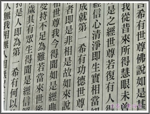 走春~北投38.jpg