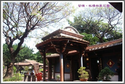 2013苦楝~板橋林家花園15.jpg