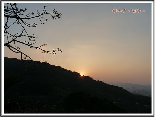 貓空。賞夜景36.jpg