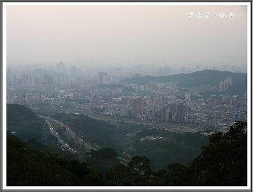 貓空。賞夜景38.jpg