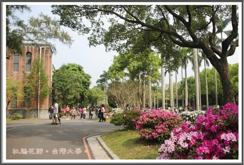 台灣大學杜鵑花節(一)04.jpg