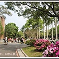 台灣大學杜鵑花節(一)04.jpg