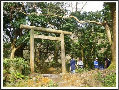 20130124陽明山公園賞櫻隨拍52.jpg