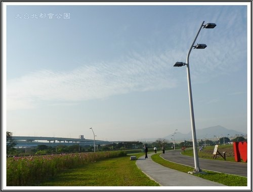 大臺北都會公園~三重水漾園區20.jpg