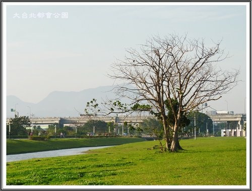 大臺北都會公園~三重水漾園區23.jpg