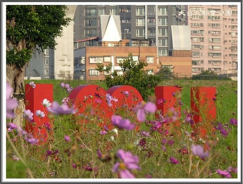 大臺北都會公園~三重水漾園區24.jpg