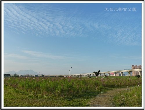 大臺北都會公園~三重水漾園區26.jpg