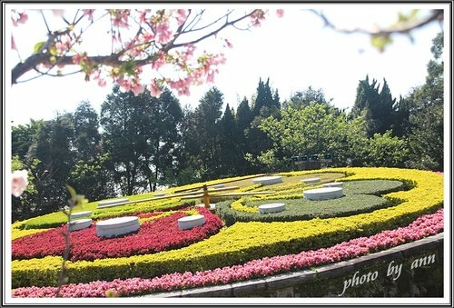 陽明公園賞花(一)~0312 16.jpg