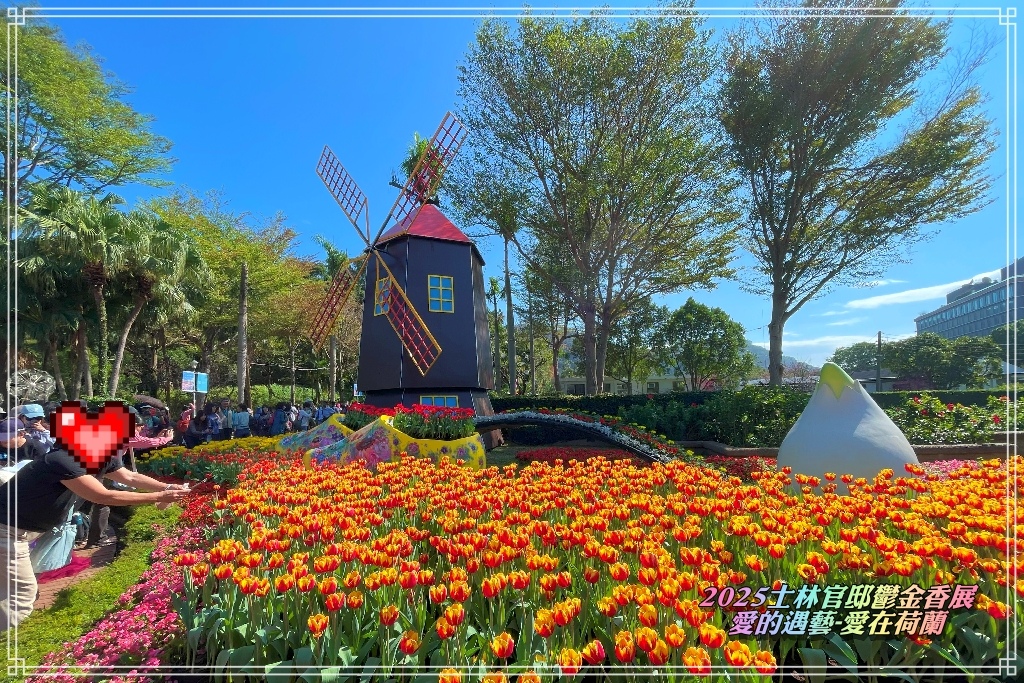 士林官邸鬱金香展2025021500.jpg
