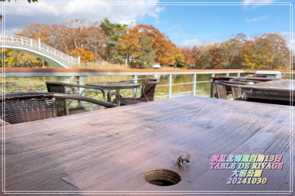 秋紅北海道自由行Day6~大沼國定公園(3)TABLE DE