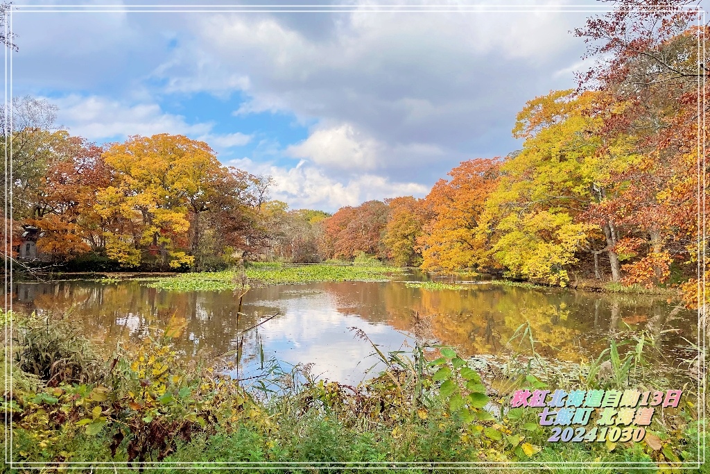 秋紅北海道自由行Day6~大沼國定公園(4)昭和寺參拜🙏夕陽