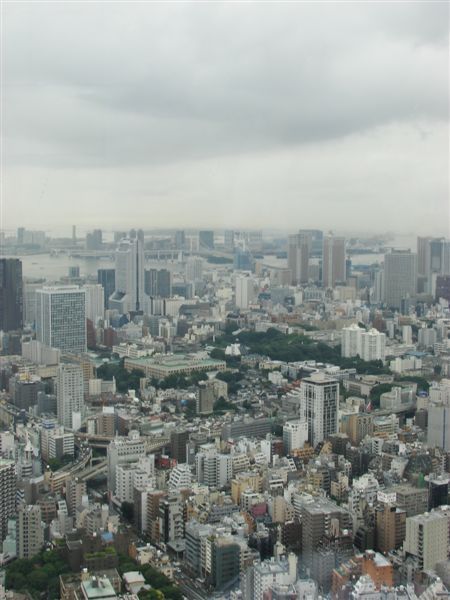 DSC03081.JPG