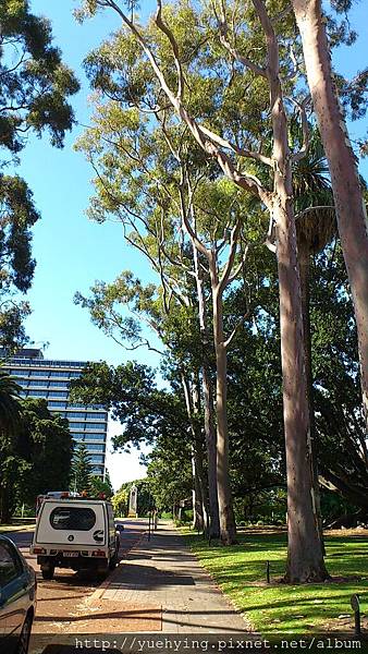 kings park2 kings park2