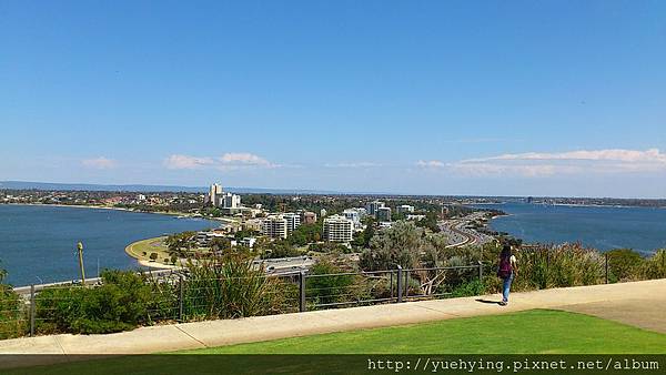 kings park7 kings park7