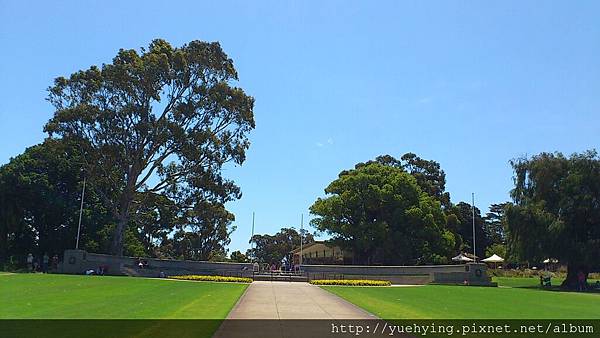 kings park9 kings park9