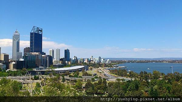 kings park13 kings park13