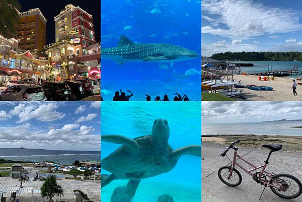 【旅遊】 沖繩 Hip Hop Bus ｜ 一日觀光巴士之旅