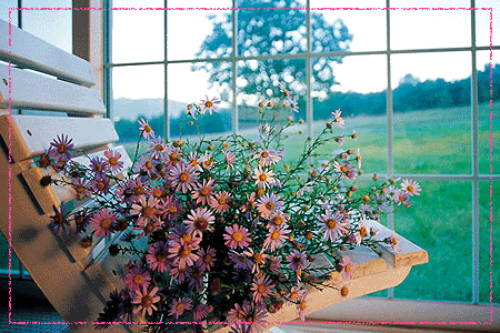 窗邊的花2 (3).jpg