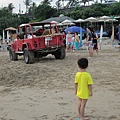 beach boy