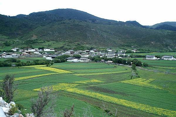 大草原全景_村落