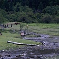 下雨崩村_神瀑小溪