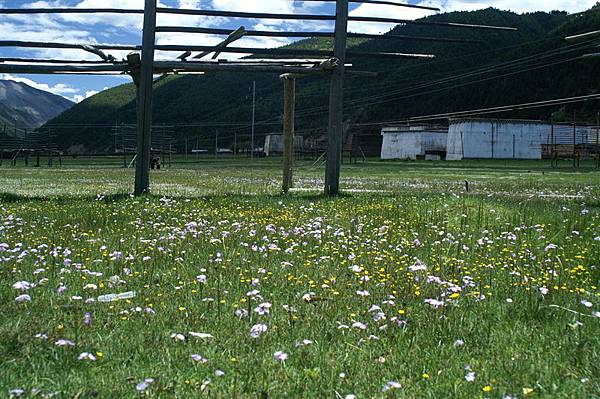 太陽城附近大草原