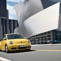 new_beetle.FlashResource.0217.ImageLarge.Image.jpg