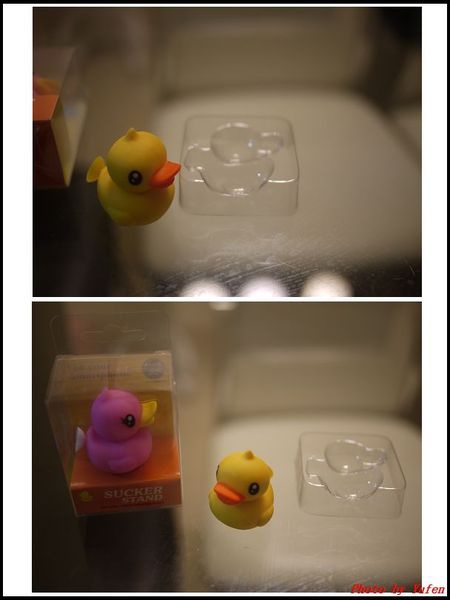 黃色小鴨來囉11.jpg