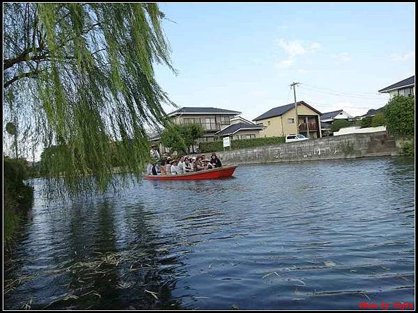 南九州Day4-4-柳川遊船046.jpg