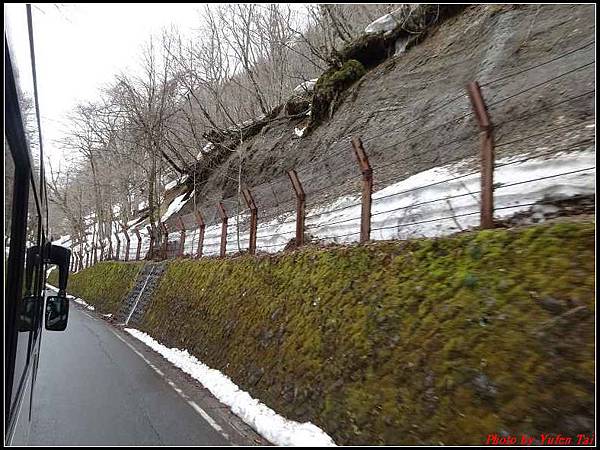 日本東北day2-日本東北day2-奧入瀨溪流 散策016.jpg