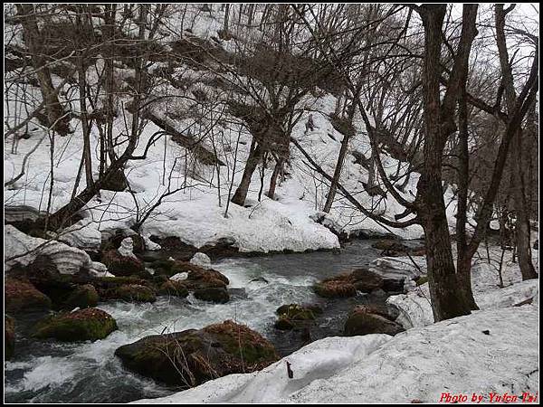 日本東北day2-日本東北day2-奧入瀨溪流 散策042.jpg