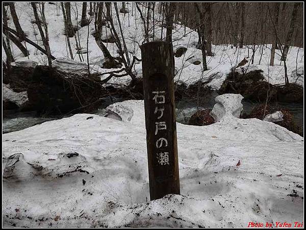 日本東北day2-日本東北day2-奧入瀨溪流 散策046.jpg