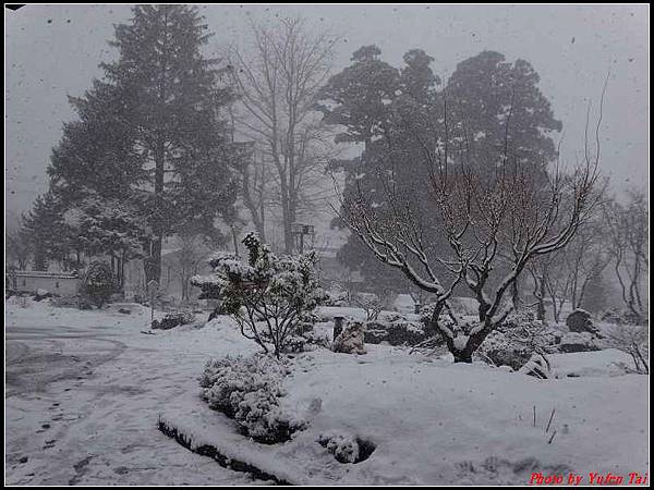 日本東北day3-十田和莊晨拍-下雪了024.jpg