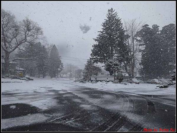 日本東北day3-十田和莊晨拍-下雪了034.jpg