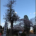 日本東北day3-鹽釜神社080.jpg