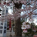 日本東北day3-鹽釜神社081.jpg