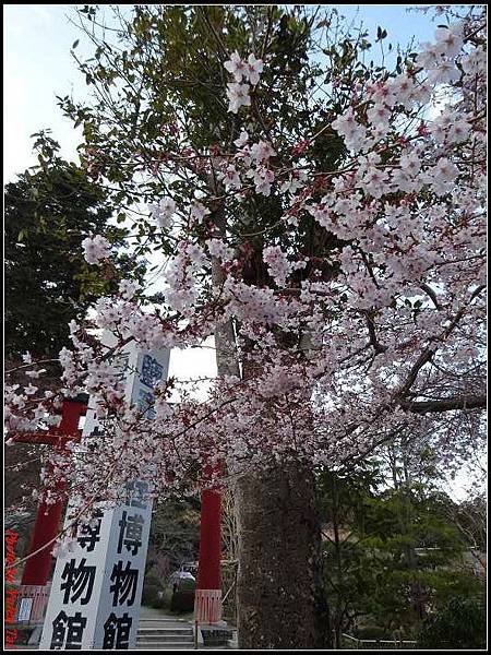 日本東北day3-鹽釜神社085.jpg