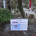 日本東北day3-鹽釜神社086.jpg