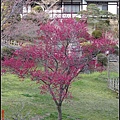 日本東北day3-鹽釜神社090.jpg