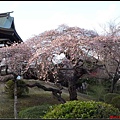 日本東北day3-鹽釜神社093.jpg