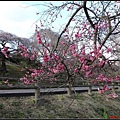 日本東北day3-鹽釜神社096.jpg