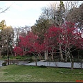 日本東北day3-鹽釜神社098.jpg