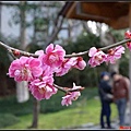 日本東北day3-鹽釜神社104.jpg