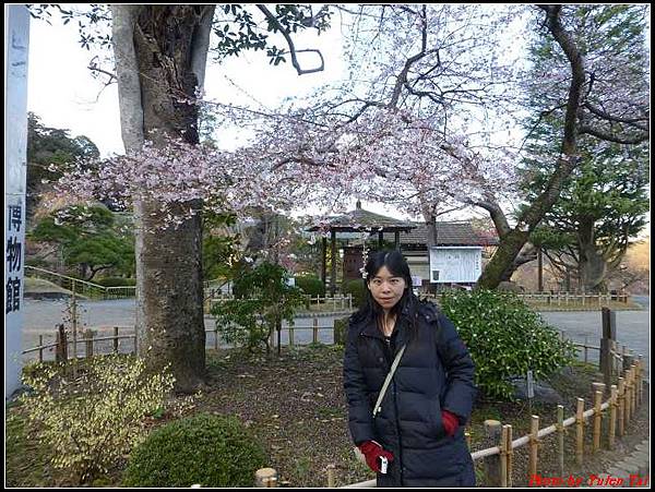 日本東北day3-鹽釜神社107.jpg