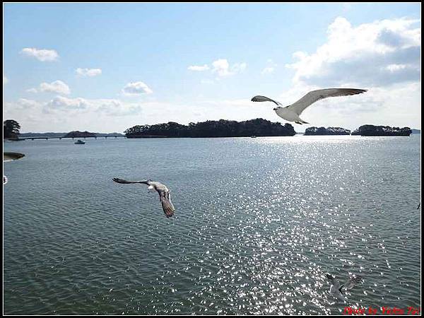 日本東北day4-松島遊船033.jpg