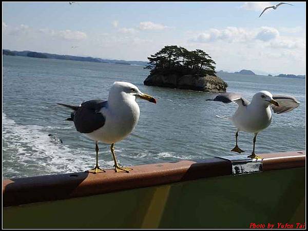 日本東北day4-松島遊船074.jpg