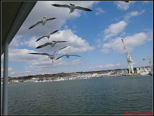 日本東北day4-松島遊船185.jpg