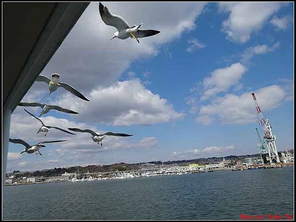 日本東北day4-松島遊船186.jpg