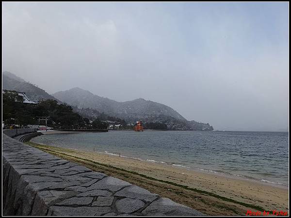 日本day2-宮島嚴島神社大鳥居0002.jpg